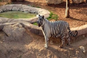 Ciudad Jardín de Al Ain con Zoo de Conservación