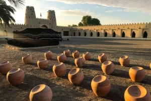 Dubai: Al Ain-oase, kamelenmarkt, oud museum en Jebel Hafeet