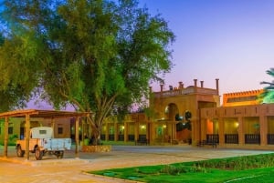 Dubai: Al Ain-oase, kamelenmarkt, oud museum en Jebel Hafeet