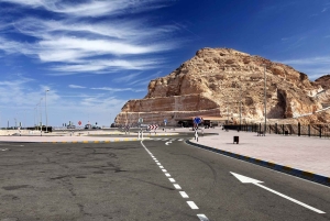 Dubai: Al Ain-oase, kamelenmarkt, oud museum en Jebel Hafeet