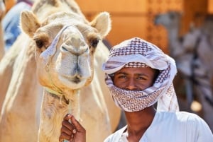 Dubai: Al Ain-oase, kamelenmarkt, oud museum en Jebel Hafeet