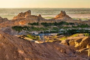 Dubai: Al Ain-oase, kamelenmarkt, oud museum en Jebel Hafeet