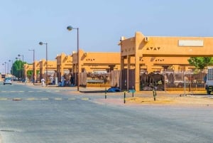 Dubai: Al Ain-oase, kamelenmarkt, oud museum en Jebel Hafeet