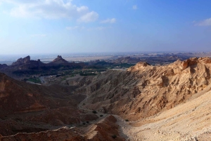 Dubai: Al Ain-oase, kamelenmarkt, oud museum en Jebel Hafeet