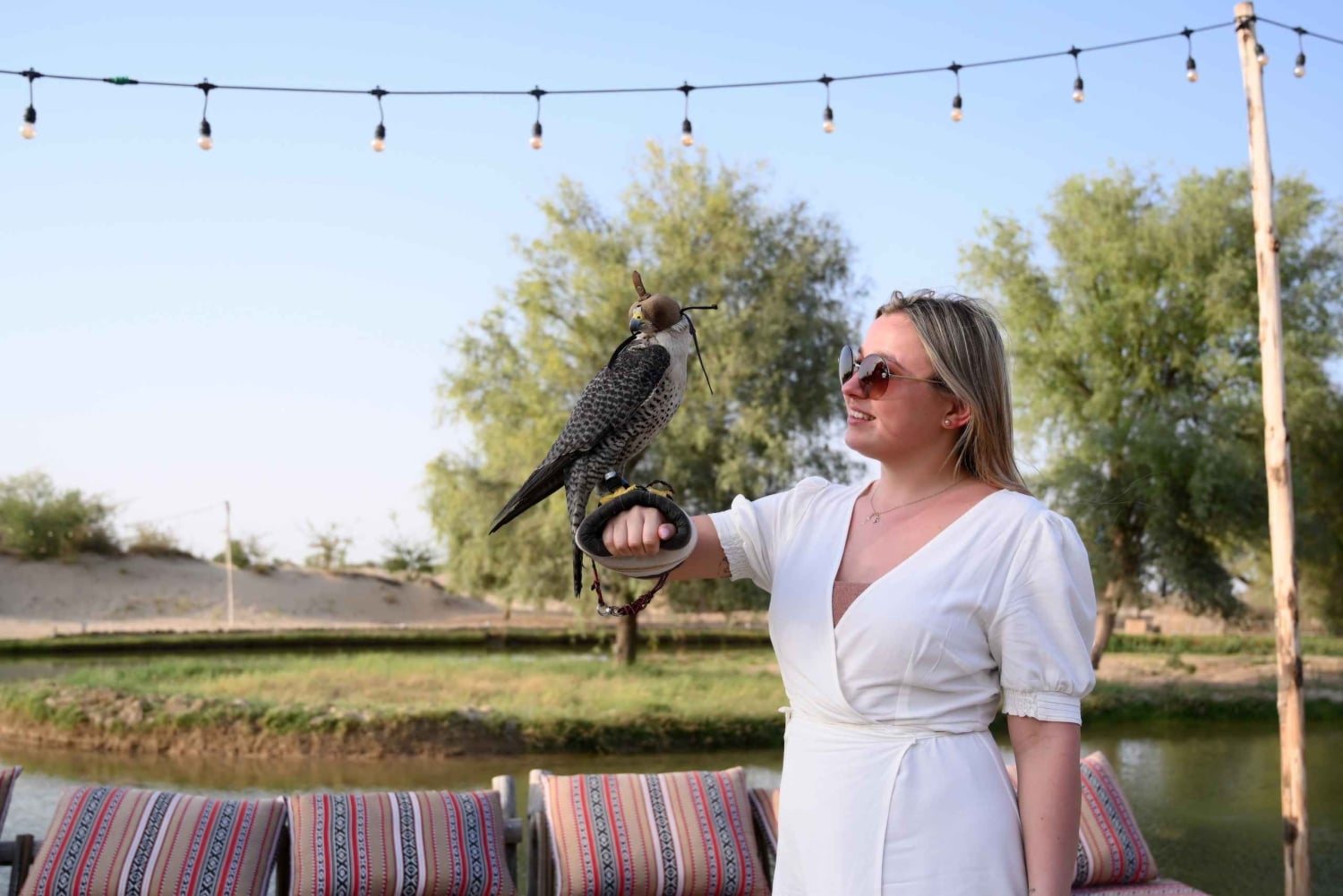 Dubai: Visita guiada aos lagos Al Marmoom e Al Qudra com jantar