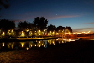 Dubai: Al Marmoom and Al Qudra Lakes Guided Tour with Dinner
