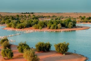 Дубай: экскурсия по озерам Аль-Мармум и Аль-Кудра с ужином