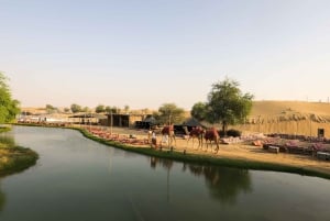 Dubaï : Visite guidée des lacs Al Marmoom et Al Qudra avec dîner