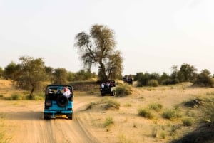 Dubai: Visita guiada aos lagos Al Marmoom e Al Qudra com jantar