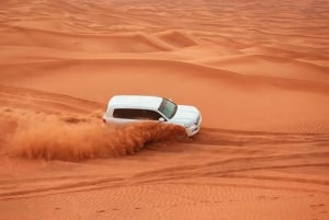 Dubai: Experiencia Premium de Safari por el Desierto, Vida Salvaje y Oasis