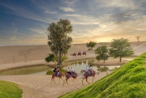 Dubai: Experiencia Premium de Safari por el Desierto, Vida Salvaje y Oasis
