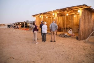 Dubai: Experiencia Premium de Safari por el Desierto, Vida Salvaje y Oasis
