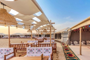 Dubai: Experiencia Premium de Safari por el Desierto, Vida Salvaje y Oasis