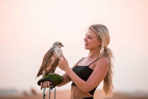 Dubai: Experiencia Premium de Safari por el Desierto, Vida Salvaje y Oasis
