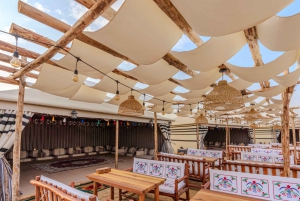 Dubai: Experiencia Premium de Safari por el Desierto, Vida Salvaje y Oasis