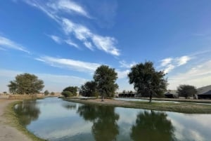 Dubai: Al Marmoom Oasis Safari, dieren spotten & ontbijt