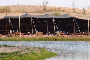 Dubai: Al Marmoom Oasis Safari, dieren spotten & ontbijt