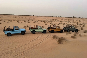 Dubai: Al Marmoom Oasis Vintage Safari, Dinner & Stargazing