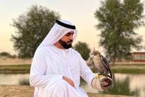 Heritage Safari, giro in cammello e cena nell'oasi di Al Marmoom