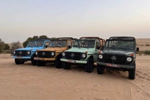 Heritage Safari, kameltur og Al Marmoom Oasis-middag