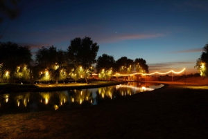 From Dubai: Al Marmoom Oasis Trip with Bedouin Dinner