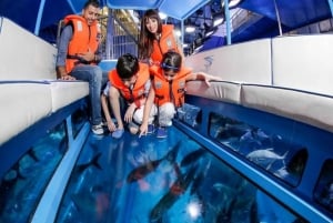 Dubai: Acquario e zoo subacqueo: Pass per tutti gli accessi