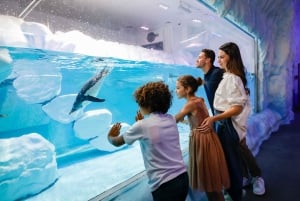 Dubai Aquarium and Underwater Zoo Skip-the-Line Entry Ticket