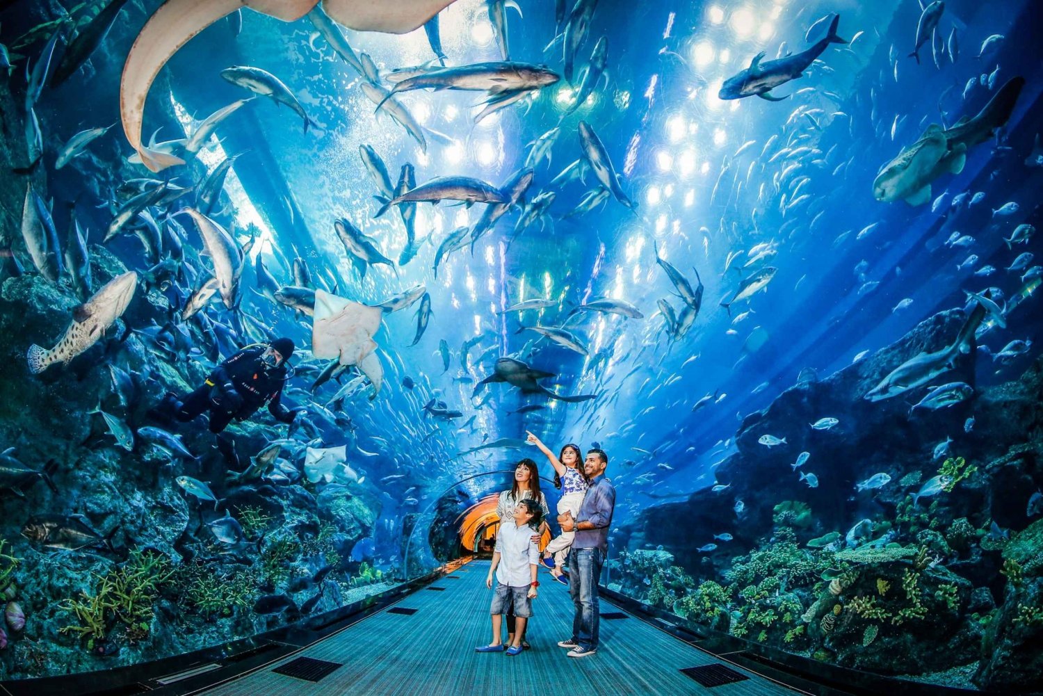 Dubai: Aquário e zoológico subaquático: ingresso de um dia