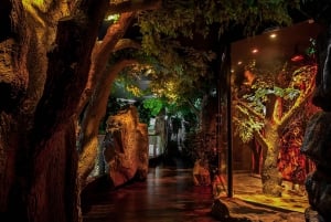Dubai Aquarium and Underwater Zoo Day Ticket