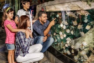 Dubai: Dagbiljett till akvarium och undervattenszoo