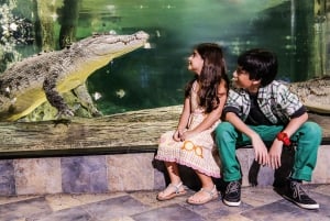 Dubai: Aquarium and Underwater Zoo Day Entry Ticket