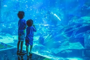 Dubaï : Aquarium et Burj Khalifa Niveau 124, 125 Billet combiné