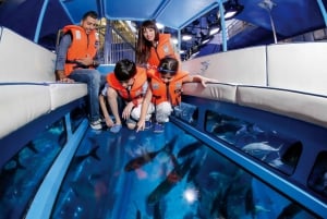 Dubai: Kombibillet til akvarium og Burj Khalifa niveau 124, 125