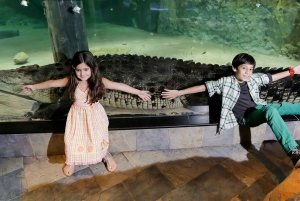 Dubai: Aquarium & Burj Khalifa Level 124 or 125 Combo Ticket
