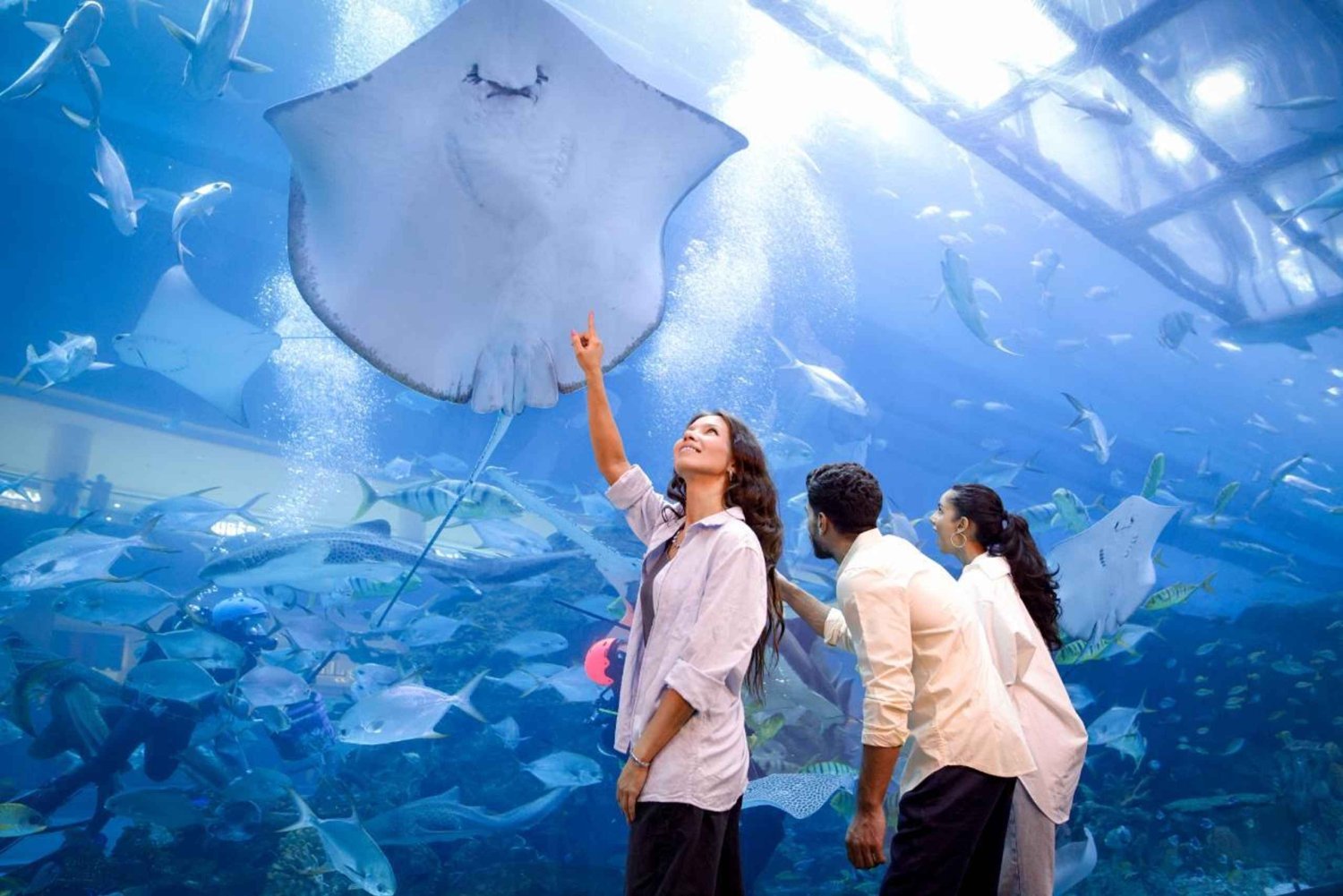 Entradas para el Acuario de Dubái + Observatorio Sky Views