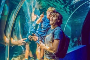 Dubai: Aquarium and Underwater Zoo Entry Ticket