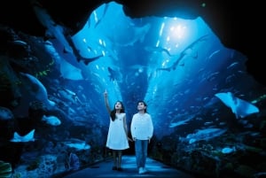 Dubai: Biljett till akvarium och undervattenszoo och Penguin Cove