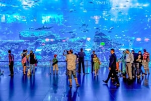 Dubai: Ingressos para o aquário e o zoológico subaquático e para o Penguin Cove