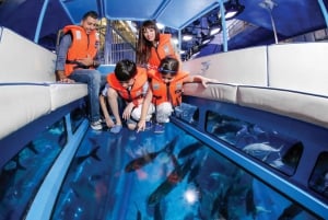 Dubai: Penguin Cove: Akvaario ja vedenalainen eläintarha ja Pingviinilahti