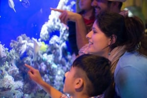 Dubai: Biljett till akvarium och undervattenszoo och Penguin Cove