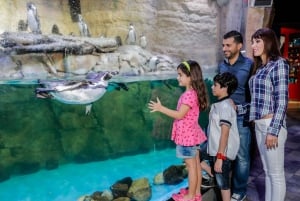 Dubai: Ingressos para o aquário e o zoológico subaquático e para o Penguin Cove