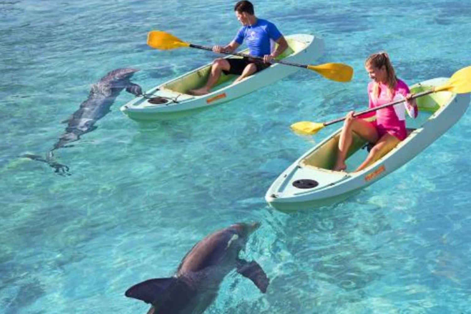 Dubai: passe de um dia no Aquaventure World Waterpark e caiaque com golfinhos