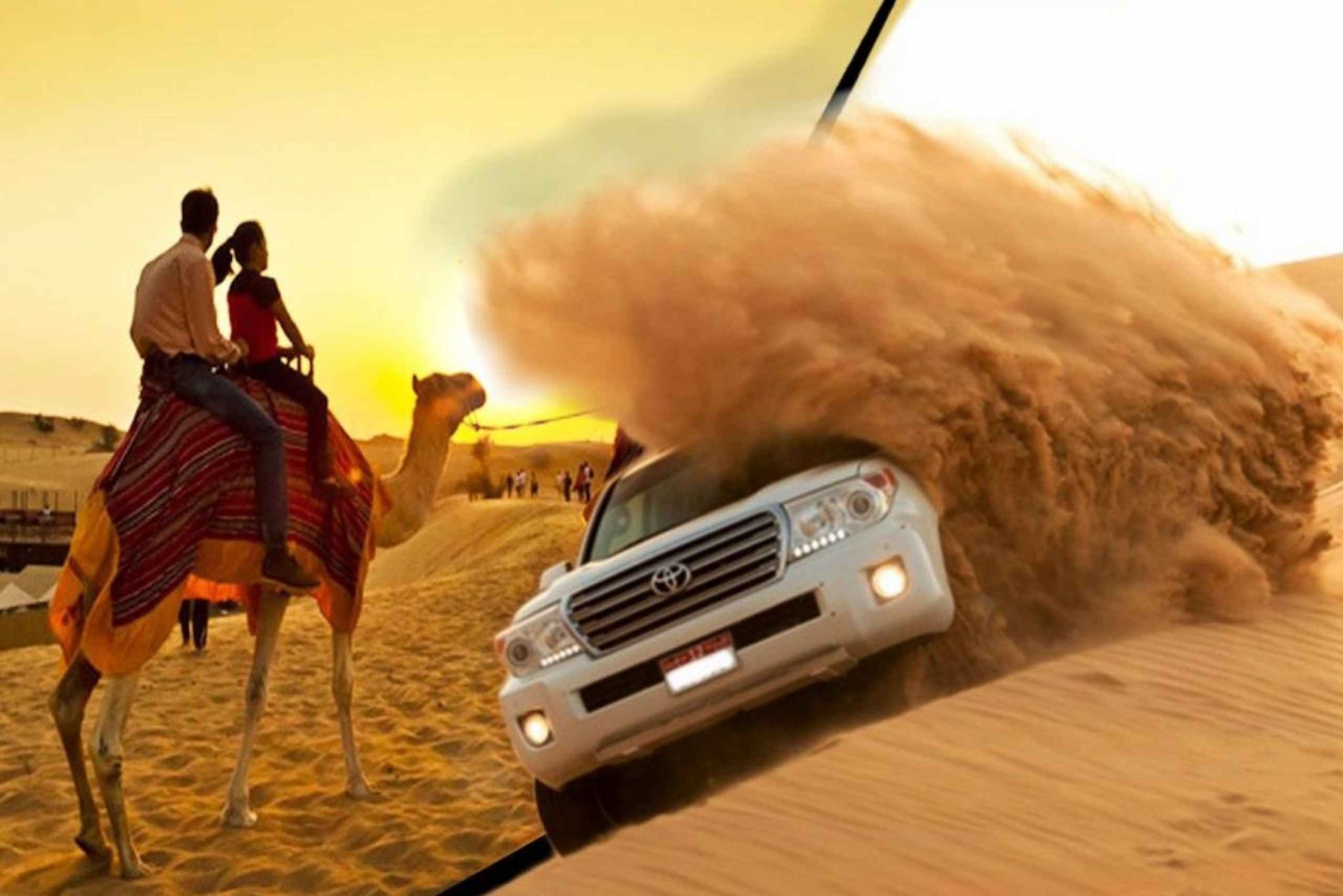 Dubaï : Safaris dans le désert d'Arabie avec barbecue, balade à dos de chameau et plus encore