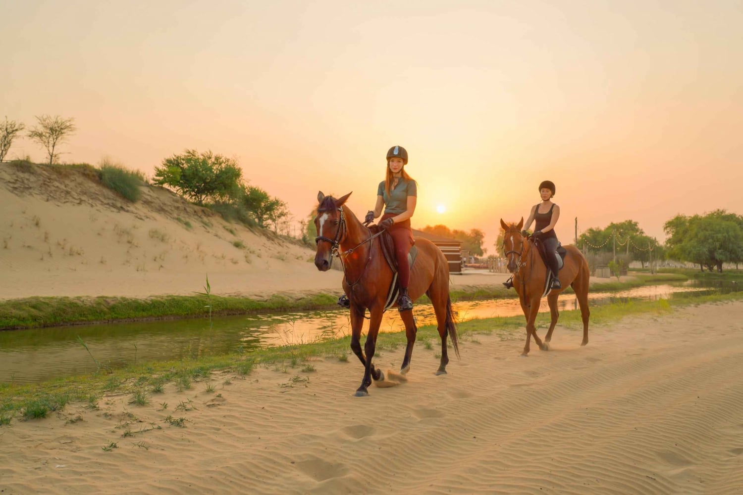 Dubai Horse Riding with Evening Desert Oasis Activities in Dubai