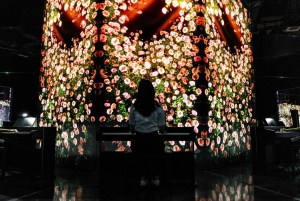 Dubai: Inngangsbillett til Arte Immersive Museum