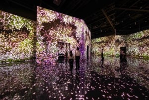 Dubai: Inngangsbillett til Arte Immersive Museum