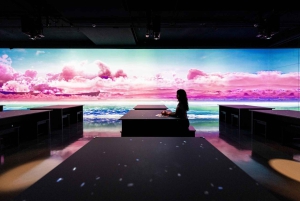Dubai: Inngangsbillett til Arte Immersive Museum