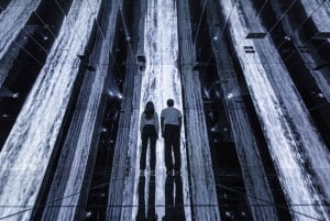 Dubai: inträdesbiljett till Arte Immersive Museum