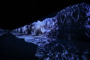 Dubai: inträdesbiljett till Arte Immersive Museum