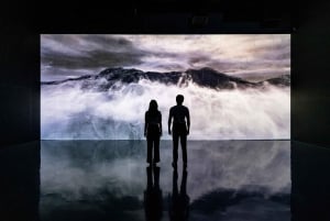 Dubai: inträdesbiljett till Arte Immersive Museum